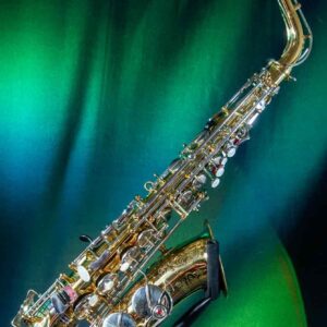 Selmer Omega Alto