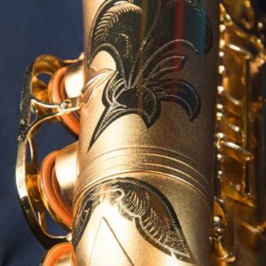 D.C. Pro Series II Gold Plated Alto