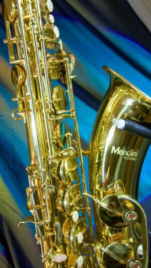 Mendini Tenor NEW