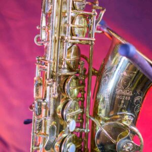 Selmer Omega MG288 Alto