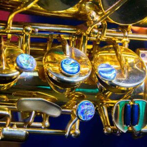 Brand New Student Alto